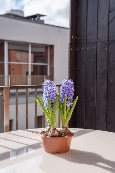New Loft With Rooftop Terrace In The Old Town Riga Exteriér fotografie